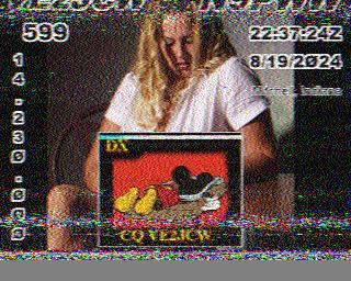 SSTV