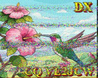 SSTV
