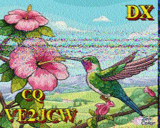 SSTV