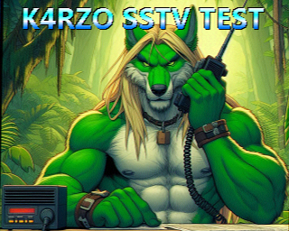 SSTV