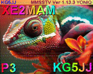 SSTV