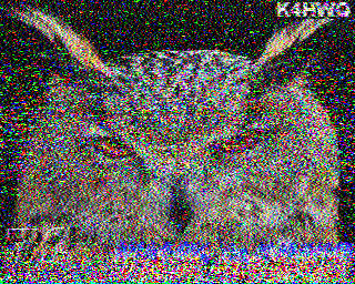 SSTV