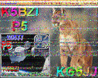 SSTV