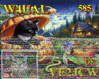 SSTV