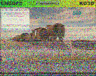 SSTV