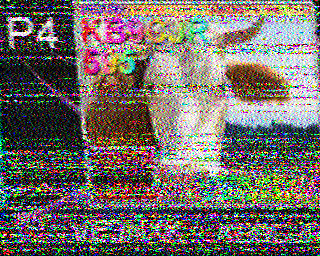SSTV