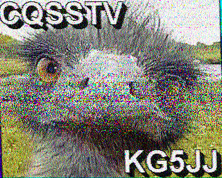 SSTV