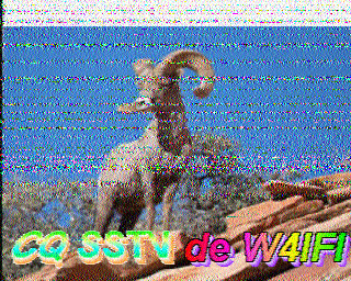 SSTV