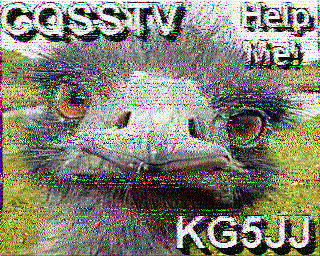 SSTV