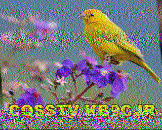 SSTV