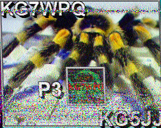 SSTV
