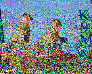 SSTV