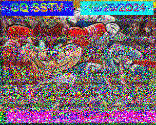SSTV