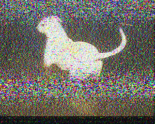 SSTV