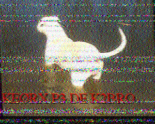 SSTV
