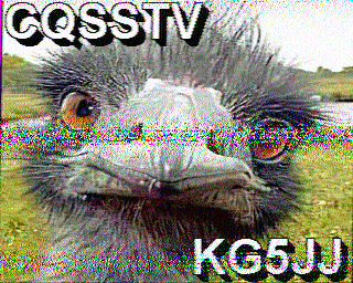 SSTV