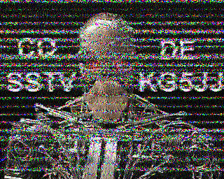 SSTV