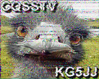 SSTV