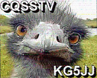 SSTV
