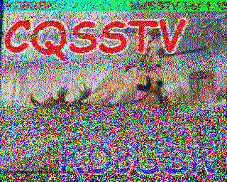 SSTV