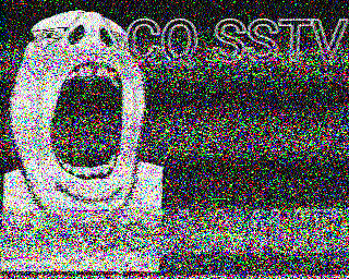 SSTV