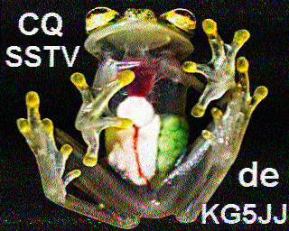 SSTV