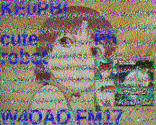 SSTV