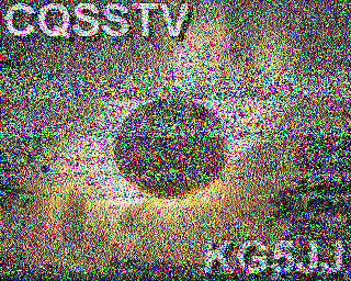 SSTV