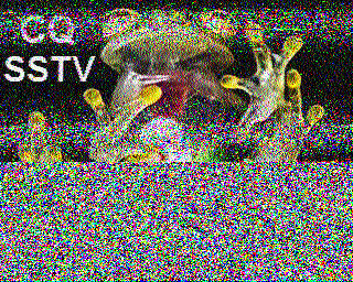 SSTV