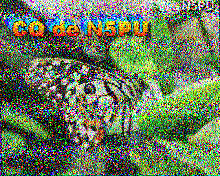 SSTV