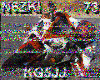 SSTV