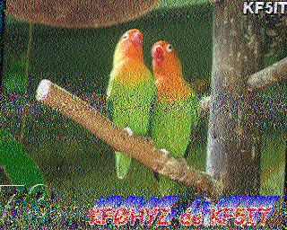 SSTV