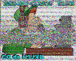 SSTV