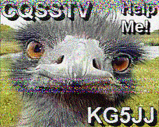 SSTV