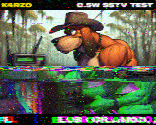 SSTV