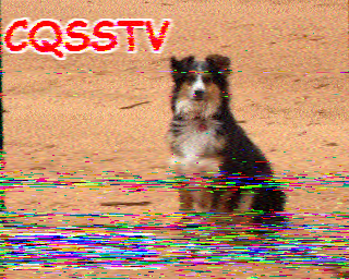 SSTV