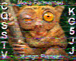 SSTV