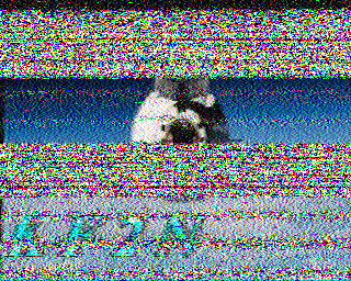 SSTV