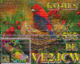 SSTV