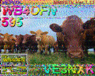SSTV