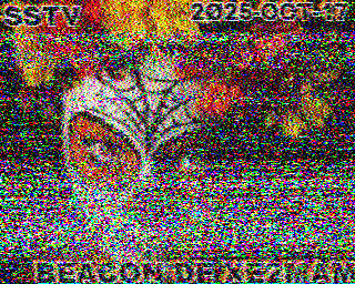 SSTV
