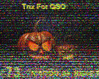 SSTV