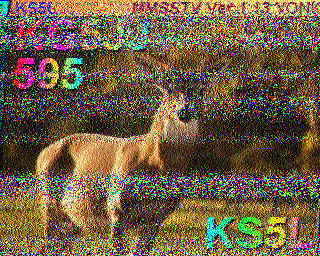 SSTV
