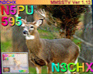 SSTV