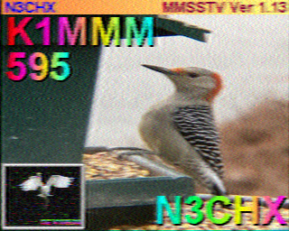 SSTV