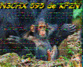 SSTV