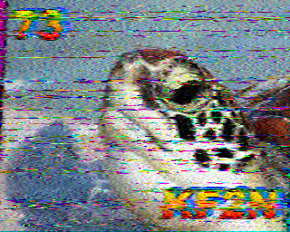 SSTV