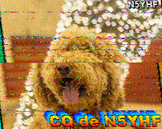 SSTV