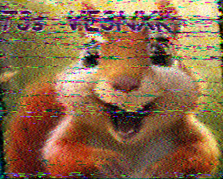 SSTV