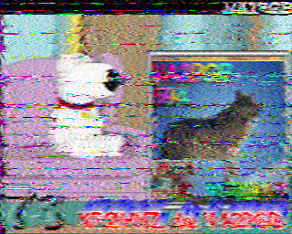 SSTV